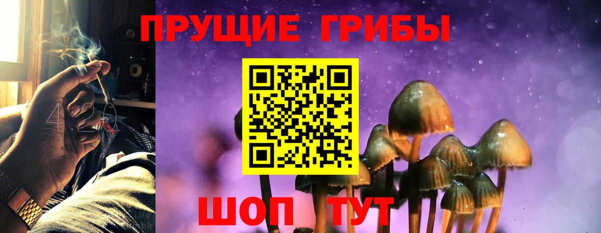Галлюциногенные грибы прущие грибы  Галлюциногенные грибы MAGIC MUSHROOMS  Вход с VPN  Пушкино 