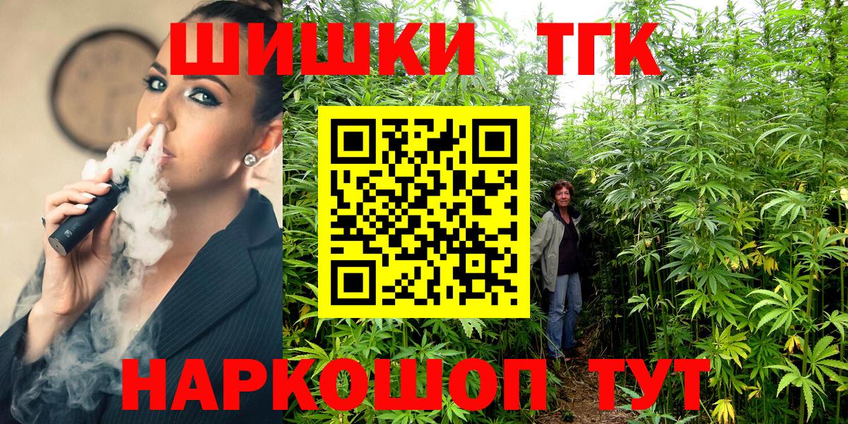 Бошки Шишки планчик Пушкино